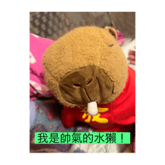 嗨！我是哈欠水獺2！