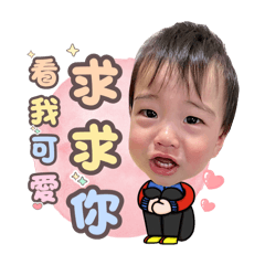 成杉8