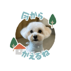 mimi_20250208191634