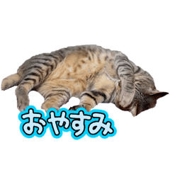 meimei_20250208181229