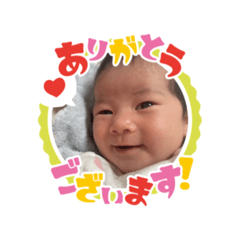 Momo_20250208110854