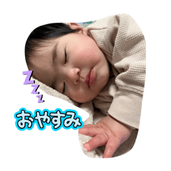 ringo_20250208204748