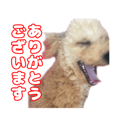 mm_20250208204900