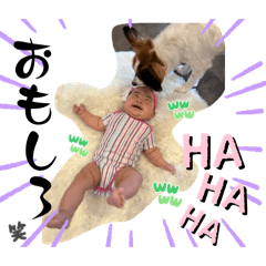 HAPPY_20250208150608