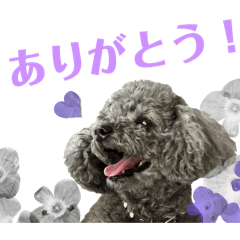 shun_20250208205726