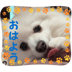 masa_20250208205151