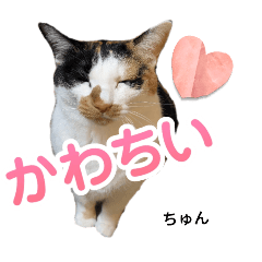 Chun_20250208205946