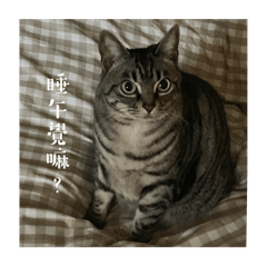 咪咪小公主-懶惰篇