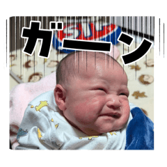 momo_20250208120030