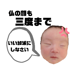 yama_20250208115204