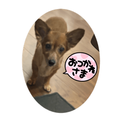 kk_20250208194759