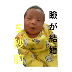 Natsu_20250208220324