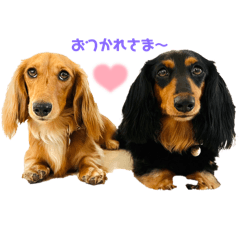 rintama_20250208195654