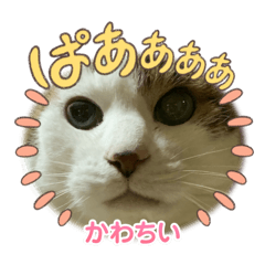 yukki_20250208164508