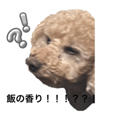 ri_utinoyatura
