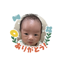 ANNA_20250208224638