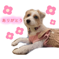 haruko_20250208224020