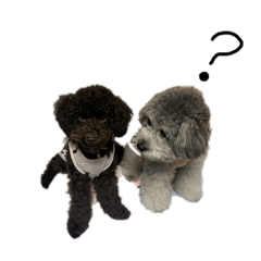 maya_20250208132533