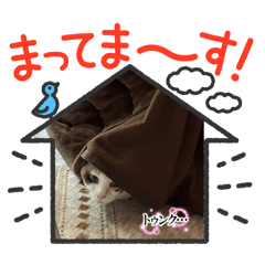 maimai_20250208215100