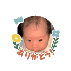 ARISA_20250208143930