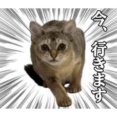 mm_20250208222629