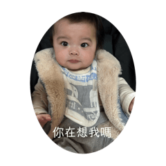 小丰丰2
