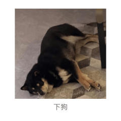 柴小斤
