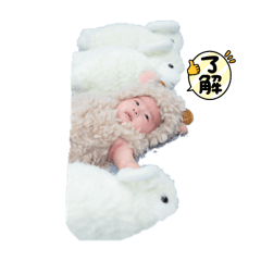 aiueo_20250208201008