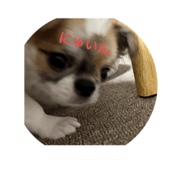 ttt_20250208105809