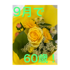 JA_20250208122131