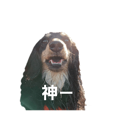 choco_20250208225005