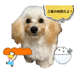 yuka_20250208230231