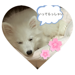 Rina_20250208232238