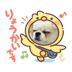 ami_20250209135155
