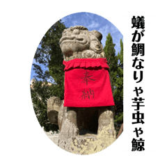 akiko_20250208141625