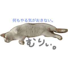 misaki_20250209091320