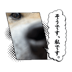 kana_20250208205925