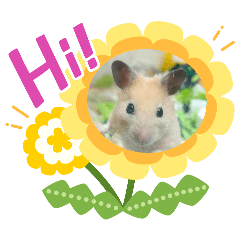 呱呱的可愛瞬間！！