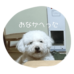 aya_20250208185157