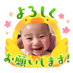 miho_20250208190317