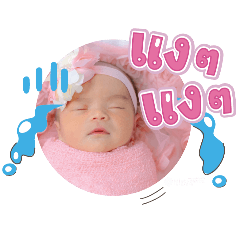 princ paknampo_20250209144408