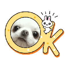 koko_20250209140910
