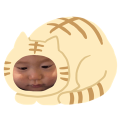omame_20250208213002