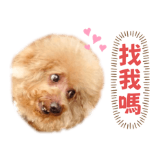 阿丁來囉