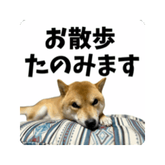 ask_20250209214134