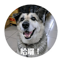 噗公主