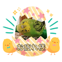 michan_20250208214328