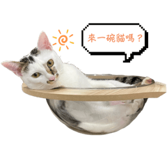 霏霏的奇奇怪怪