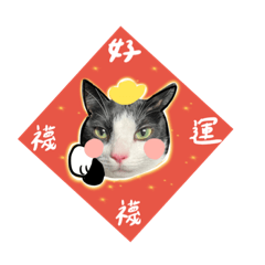 小襪比