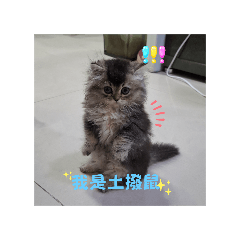 麻糬の日常(〃'▽'〃)